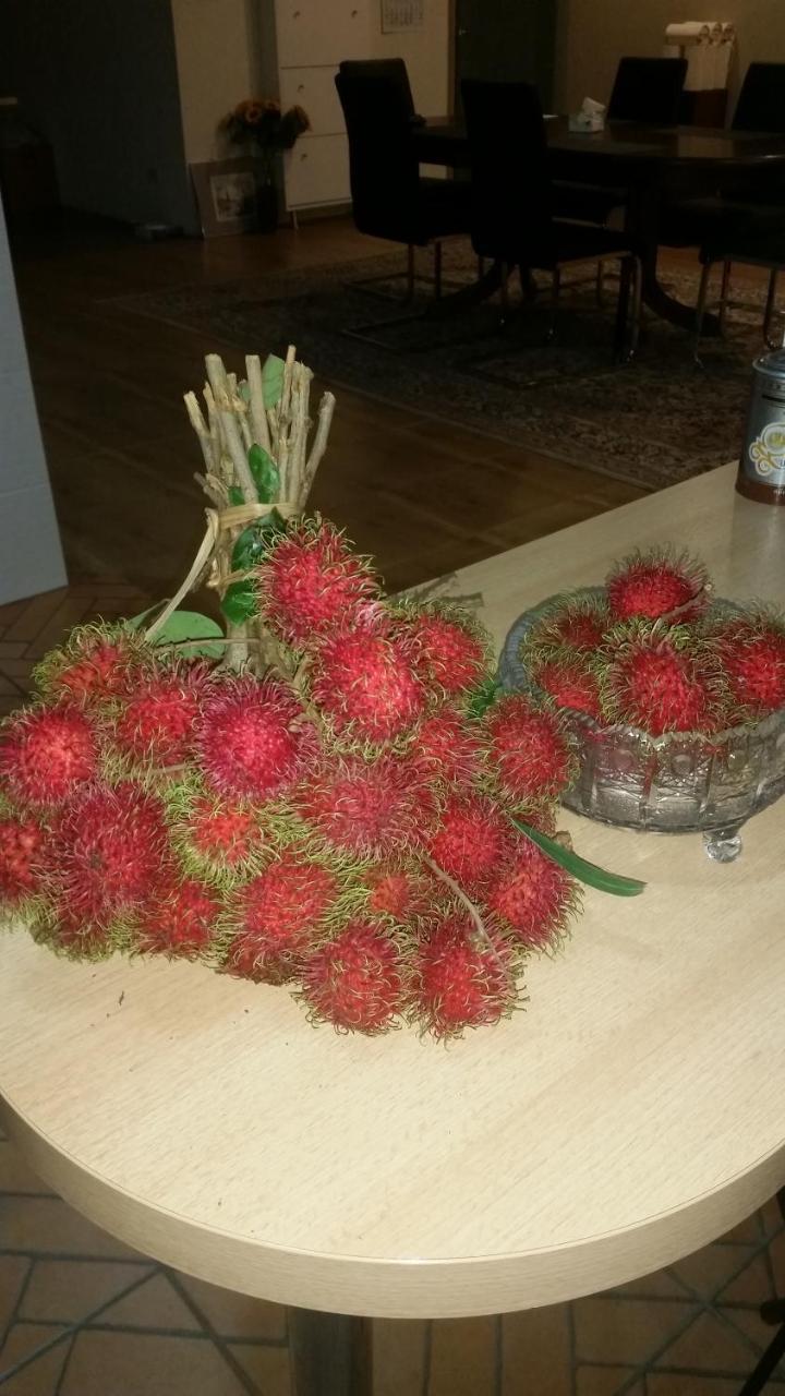 Longan Tree Acomodação com café da manhã Ban Nam Thong Exterior foto