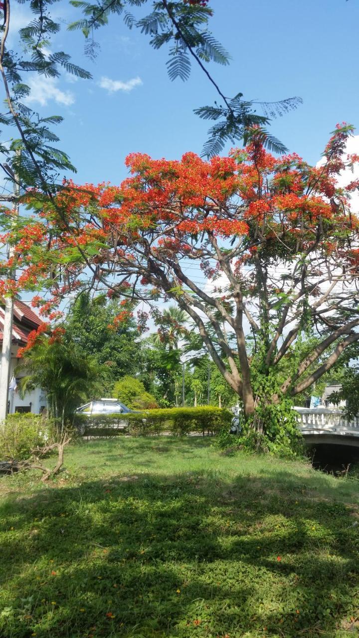 Longan Tree Acomodação com café da manhã Ban Nam Thong Exterior foto
